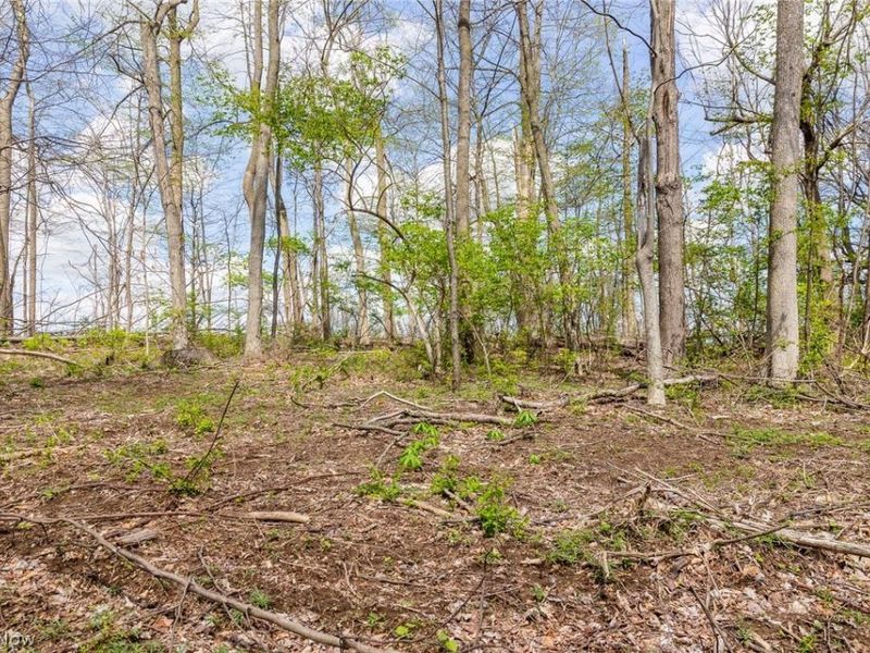 105 W Hanley Road, Mansfield, OH 44904 Photo 8