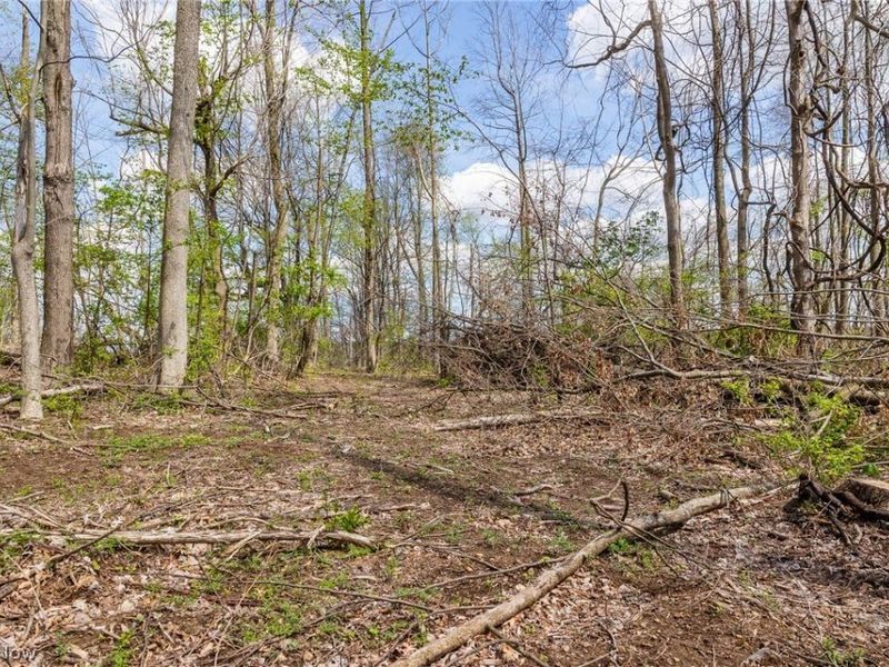 105 W Hanley Road, Mansfield, OH 44904 Photo 9