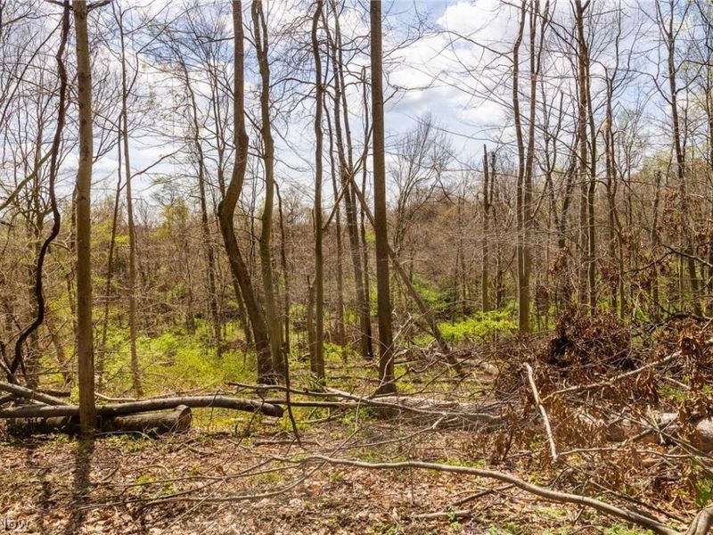 105 W Hanley Road, Mansfield, OH 44904 Photo 10