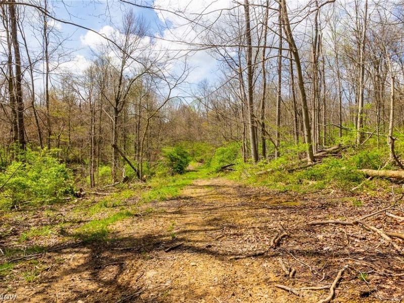 105 W Hanley Road, Mansfield, OH 44904 Photo 11