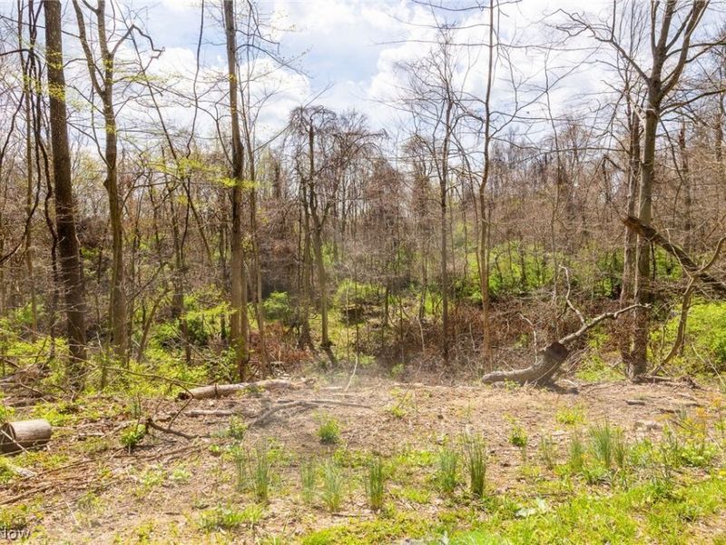 105 W Hanley Road, Mansfield, OH 44904 Photo 12