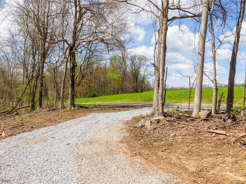 105 W Hanley Road, Mansfield, OH 44904 Photo 3