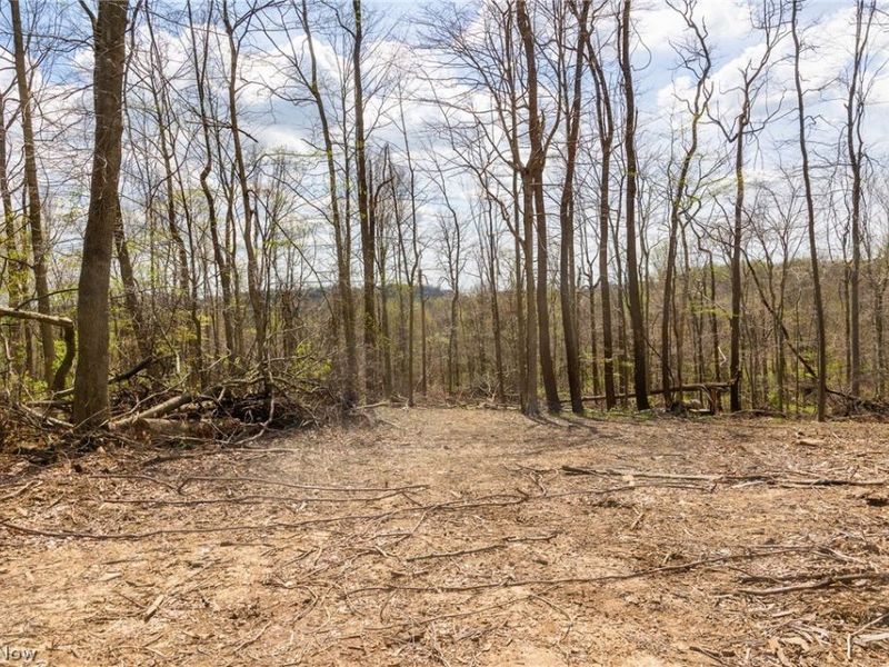 105 W Hanley Road, Mansfield, OH 44904 Photo 5