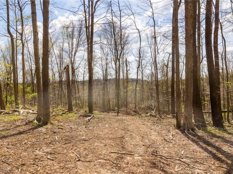 105 W Hanley Road, Mansfield, OH 44904 Photo 6