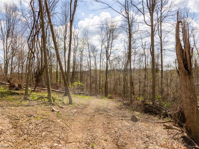 105 W Hanley Road, Mansfield, OH 44904 Photo 7