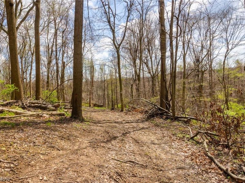 105 W Hanley Road, Mansfield, OH 44904 Photo 8