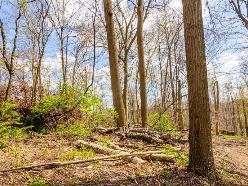 105 W Hanley Road, Mansfield, OH 44904 Photo 9