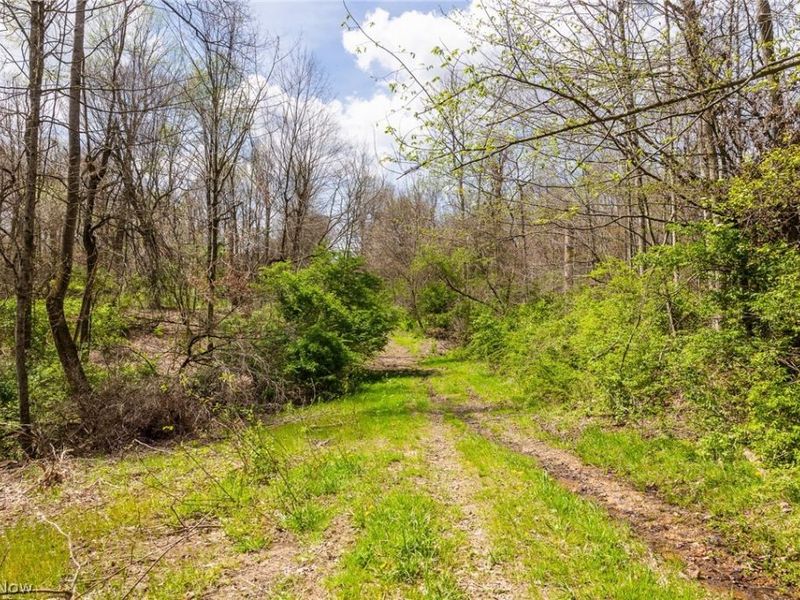 105 W Hanley Road, Mansfield, OH 44904 Photo 2