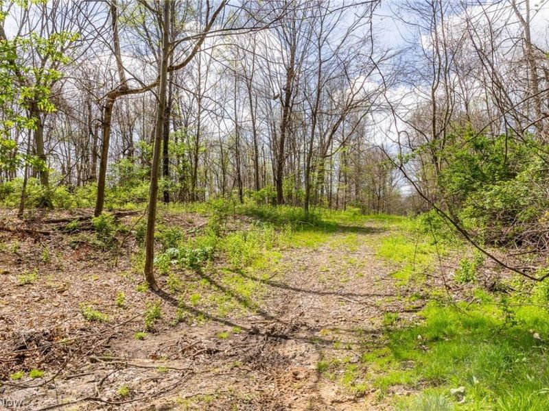 105 W Hanley Road, Mansfield, OH 44904 Photo 3