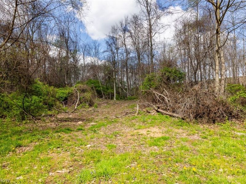 105 W Hanley Road, Mansfield, OH 44904 Photo 5