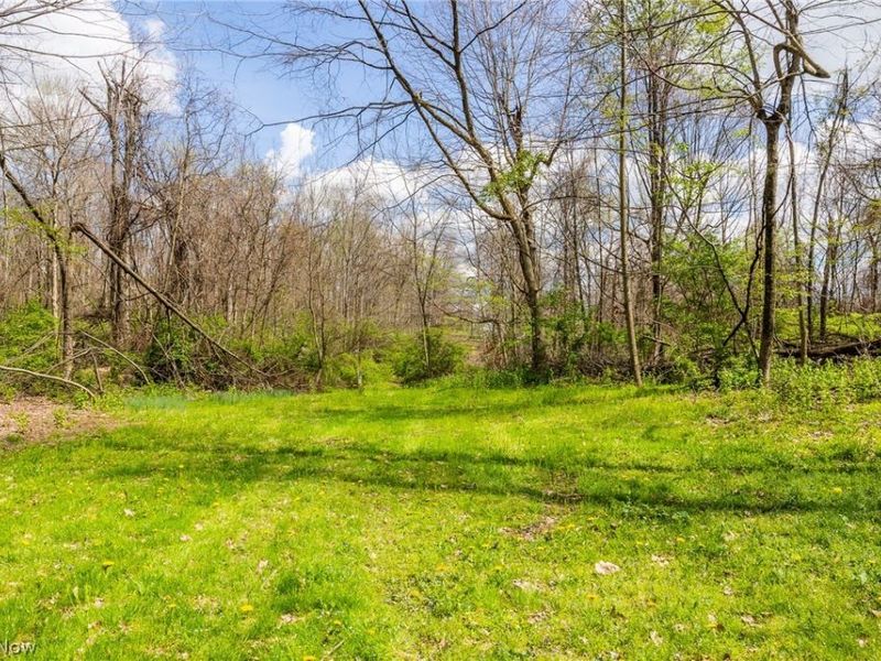 105 W Hanley Road, Mansfield, OH 44904 Photo 6