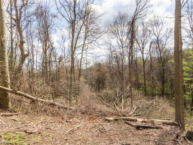 105 W Hanley Road, Mansfield, OH 44904 Photo 7