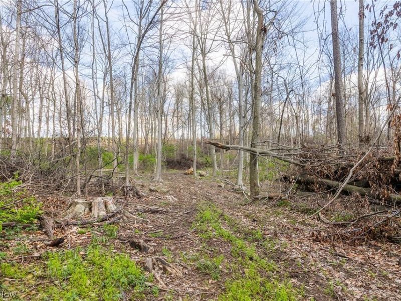 105 W Hanley Road, Mansfield, OH 44904 Photo 8