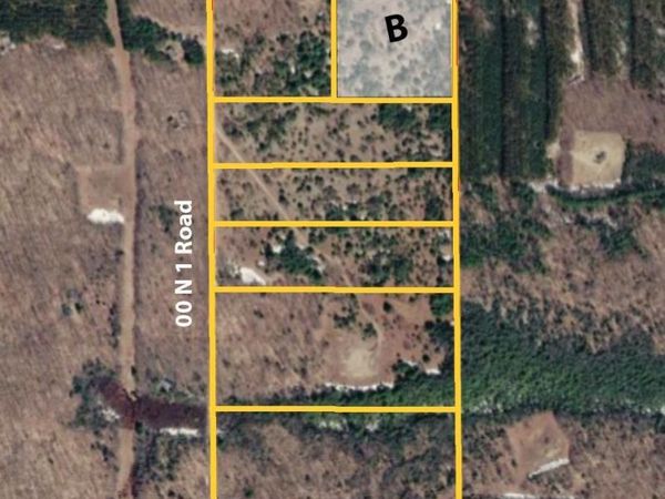 West County Line Road, Buckley, MI 49620