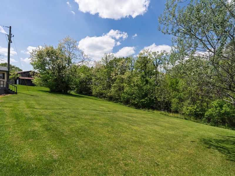 53 Hogg Ridge Road, Williamstown, KY 41097 Photo 24