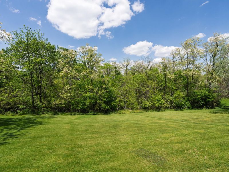 53 Hogg Ridge Road, Williamstown, KY 41097 Photo 25