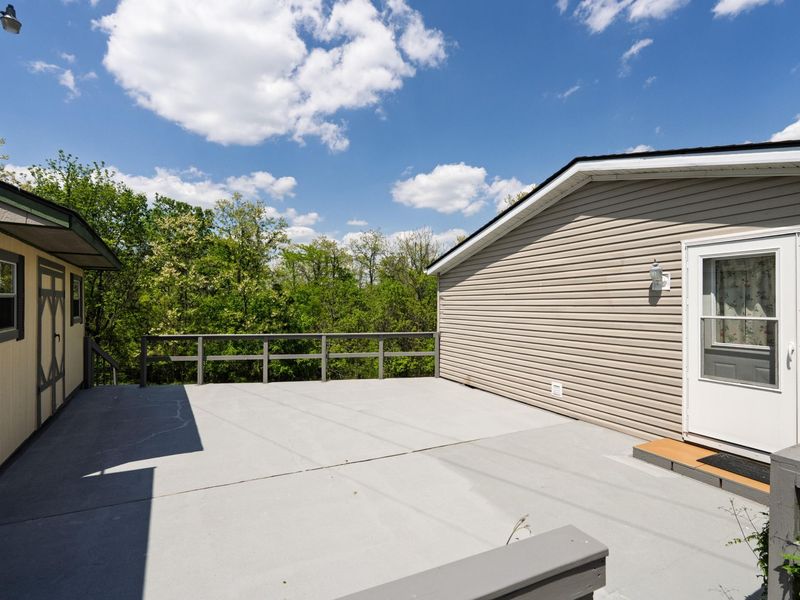 53 Hogg Ridge Road, Williamstown, KY 41097 Photo 5