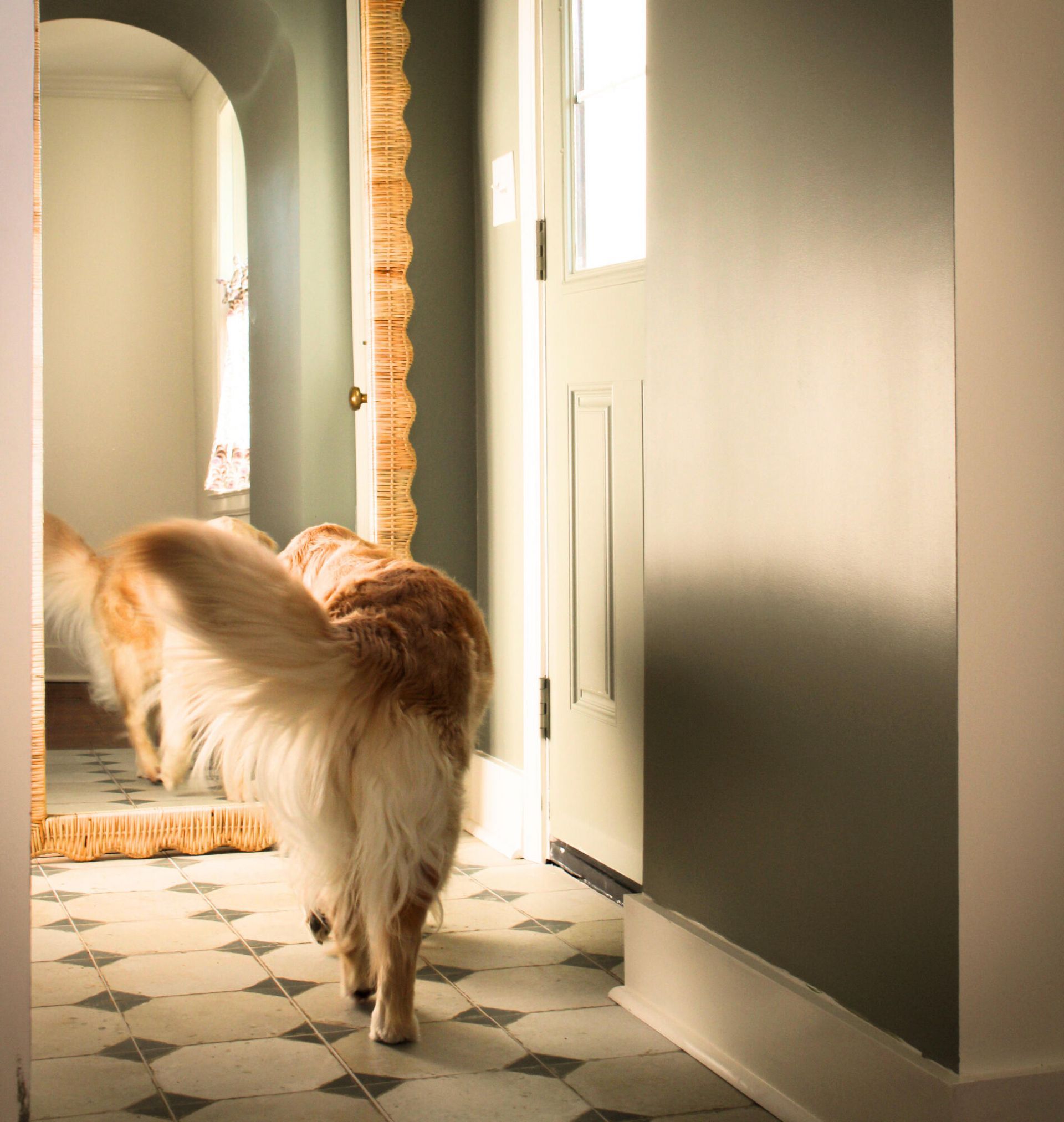 1 Colleton Drive Photo 27