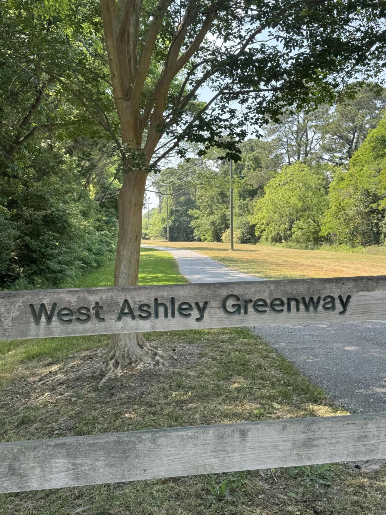 1 Colleton Drive Photo 45