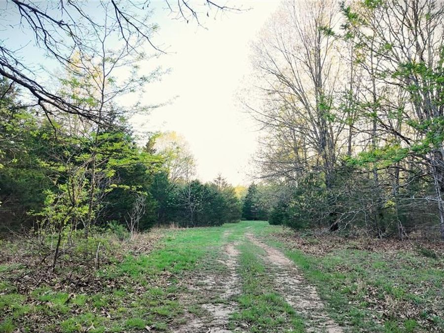 Property Image 18