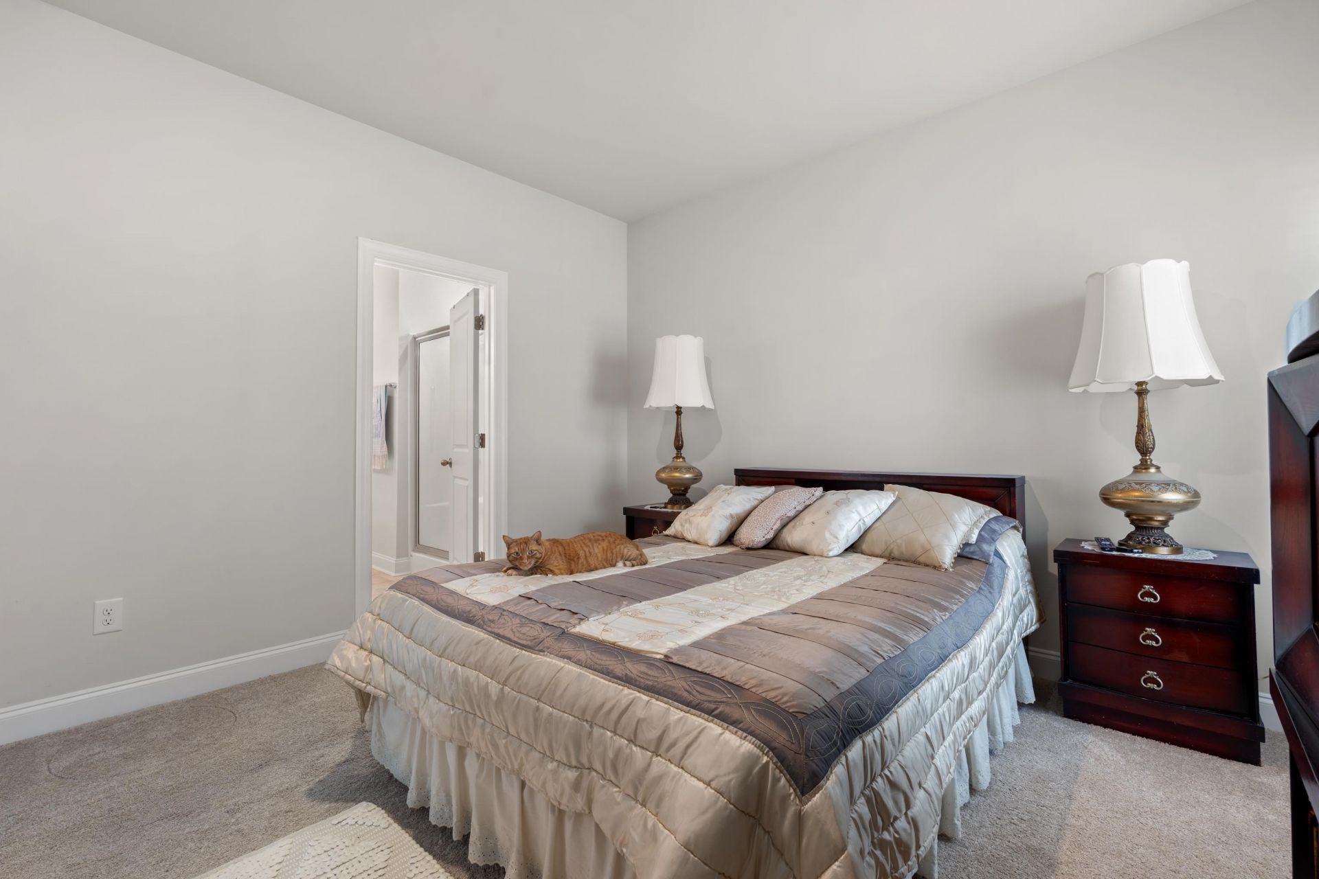 2477 Campton Loop  Photo 13
