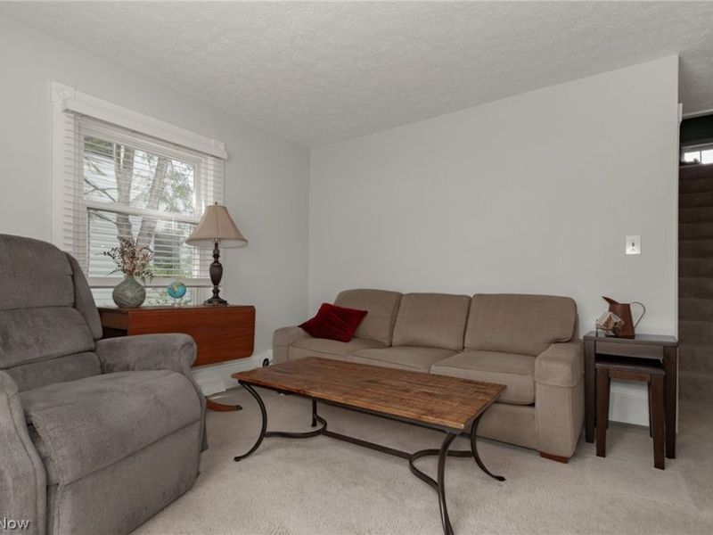4516 Wood Street, Willoughby, OH 44094 Photo 18