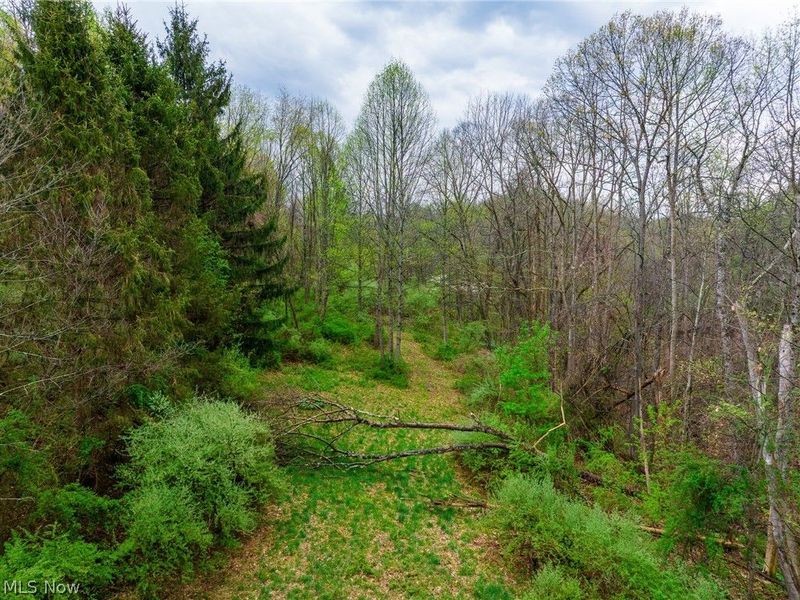 44713 State Route 541, Unit 4, Coshocton, OH 43812 Photo 31
