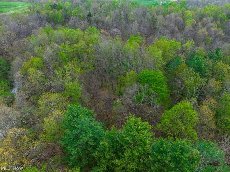 44713 State Route 541, Unit 3, Coshocton, OH 43812 Photo 11