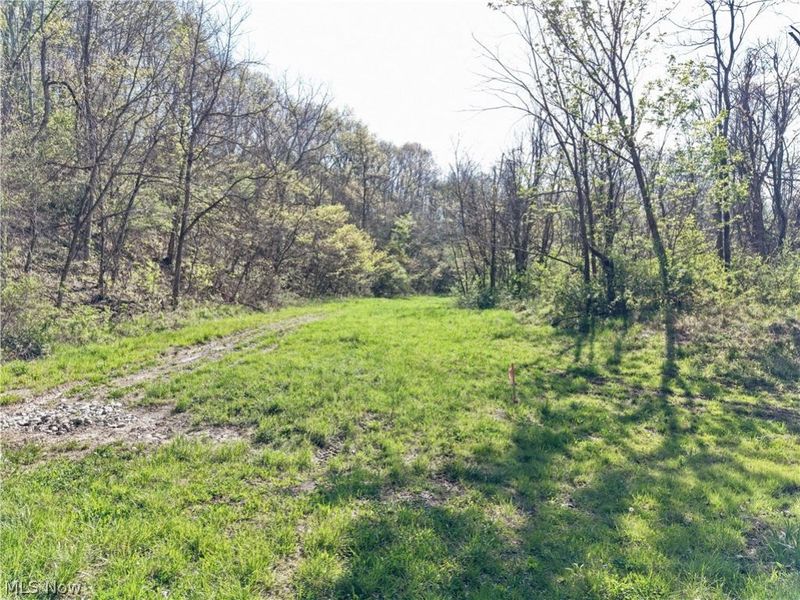 0 Harrons Ridge Road , Dexter City, OH 45727 Photo 11