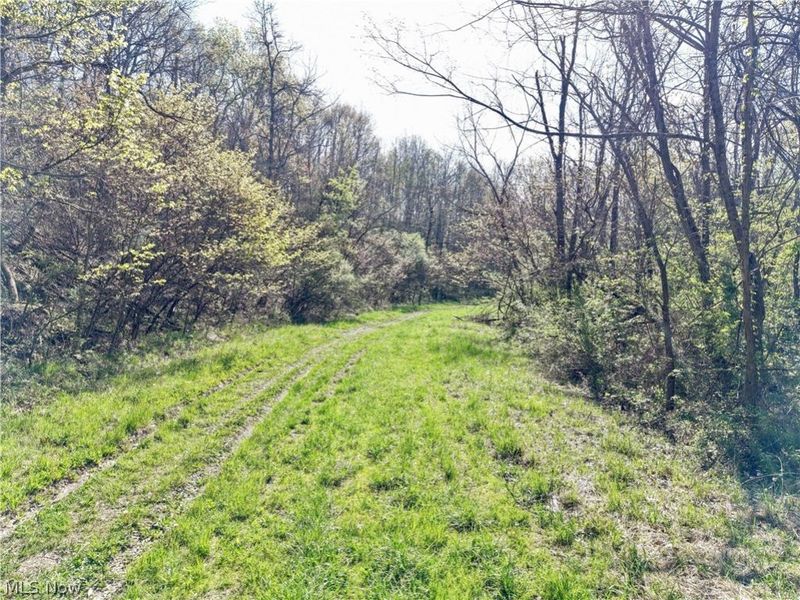 0 Harrons Ridge Road , Dexter City, OH 45727 Photo 12