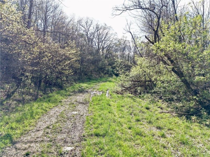 0 Harrons Ridge Road, Dexter City, OH 45727 Photo 13