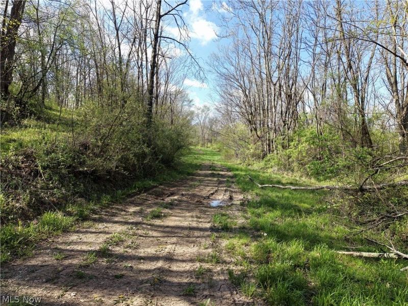 0 Harrons Ridge Road , Dexter City, OH 45727 Photo 14