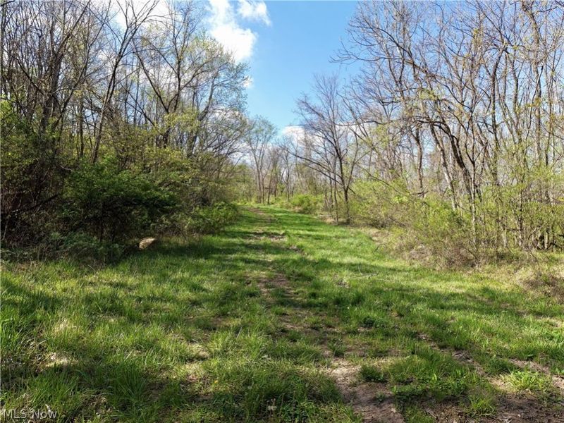 0 Harrons Ridge Road , Dexter City, OH 45727 Photo 15