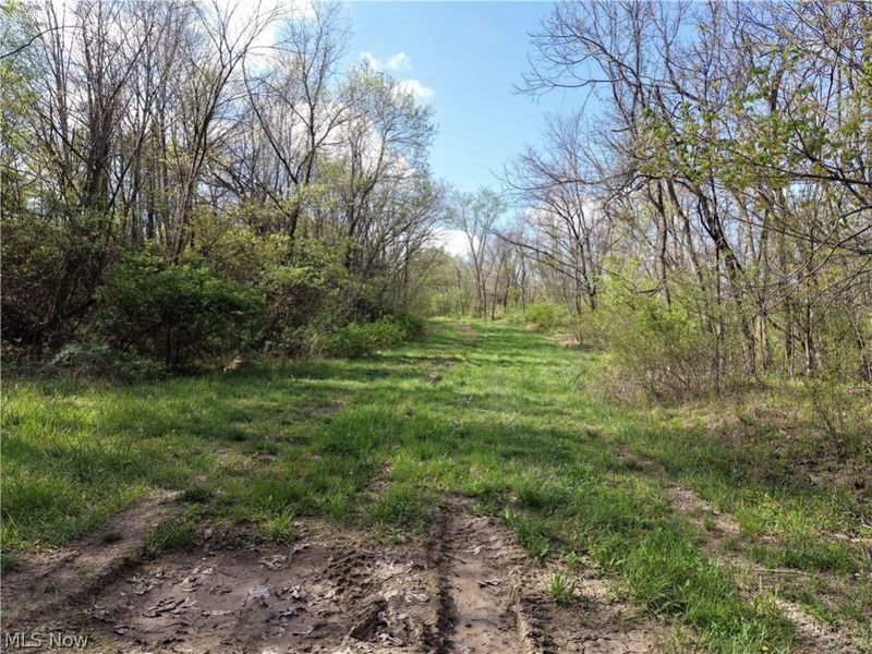 0 Harrons Ridge Road , Dexter City, OH 45727 Photo 16