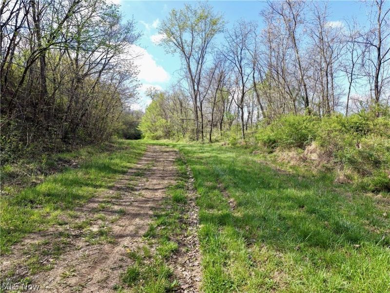 0 Harrons Ridge Road , Dexter City, OH 45727 Photo 17