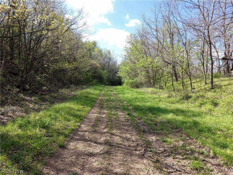 0 Harrons Ridge Road , Dexter City, OH 45727 Photo 18