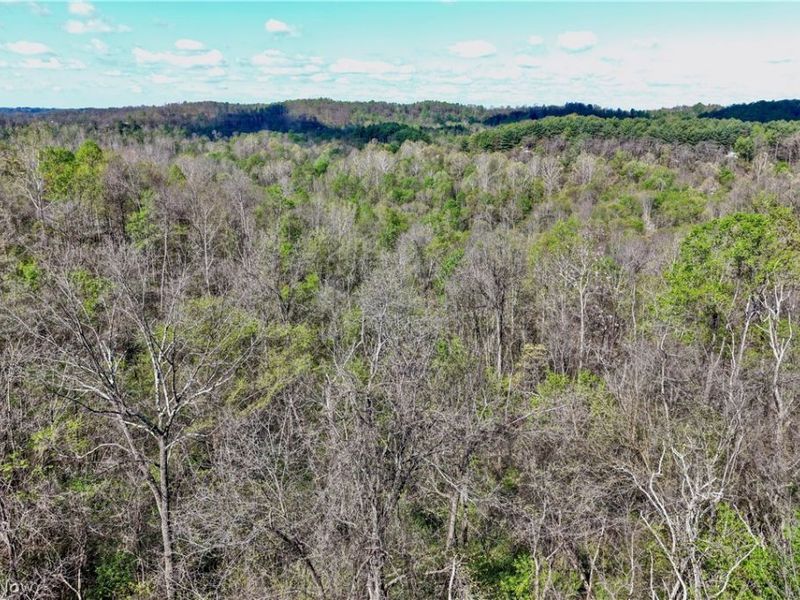 0 Harrons Ridge Road , Dexter City, OH 45727 Photo 19