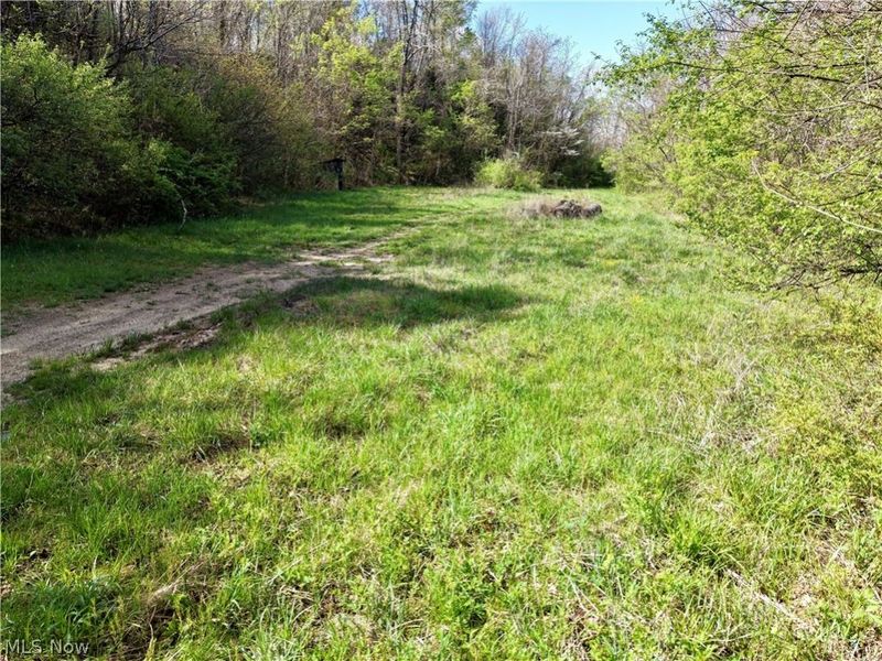 0 Harrons Ridge Road , Dexter City, OH 45727 Photo 21