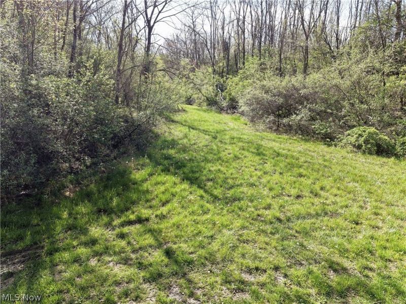 0 Harrons Ridge Road , Dexter City, OH 45727 Photo 22