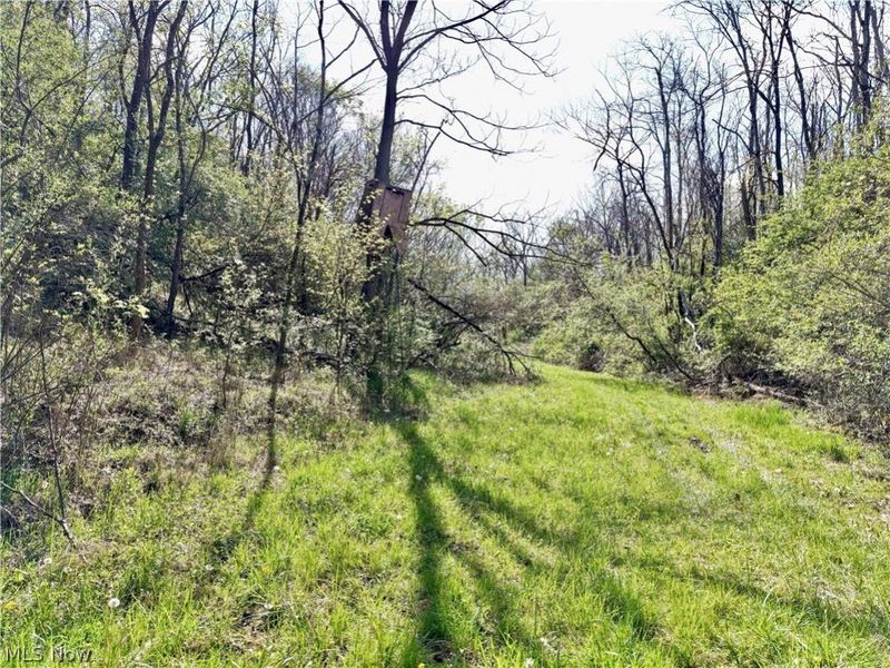 0 Harrons Ridge Road , Dexter City, OH 45727 Photo 23