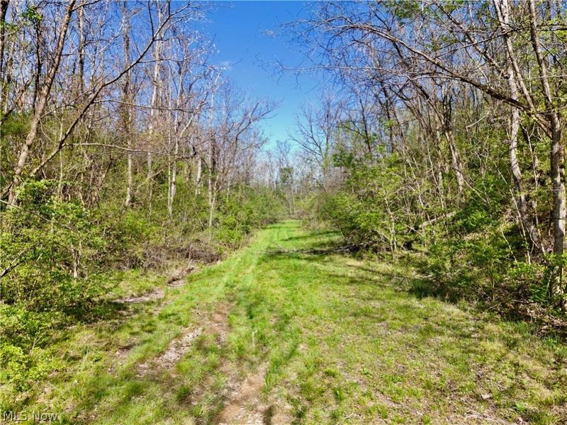 0 Harrons Ridge Road , Dexter City, OH 45727 Photo 24