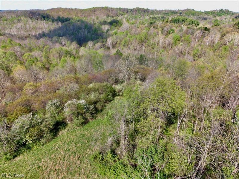 0 Harrons Ridge Road , Dexter City, OH 45727 Photo 26