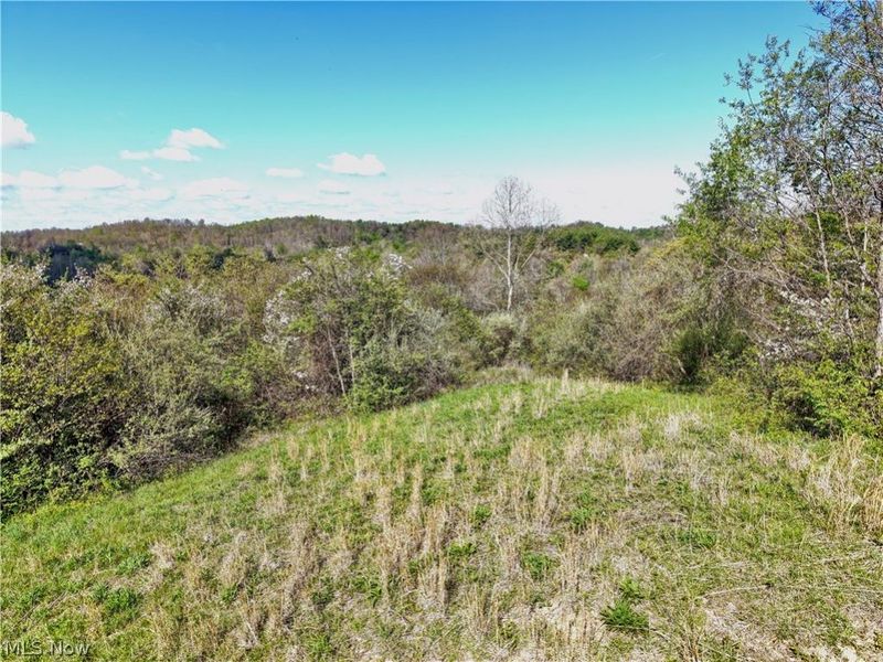 0 Harrons Ridge Road , Dexter City, OH 45727 Photo 28