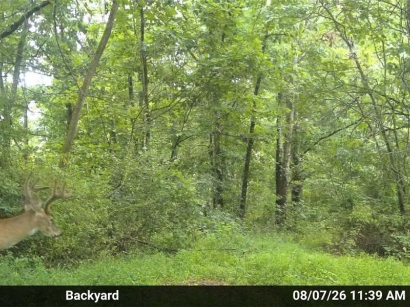 0 Harrons Ridge Road, Dexter City, OH 45727 Photo 30