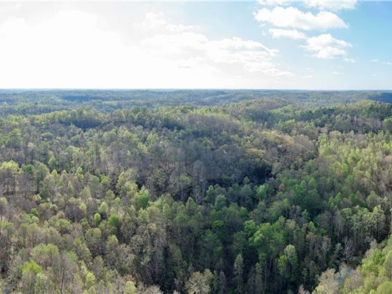0 Harrons Ridge Road, Dexter City, OH 45727 Photo 5