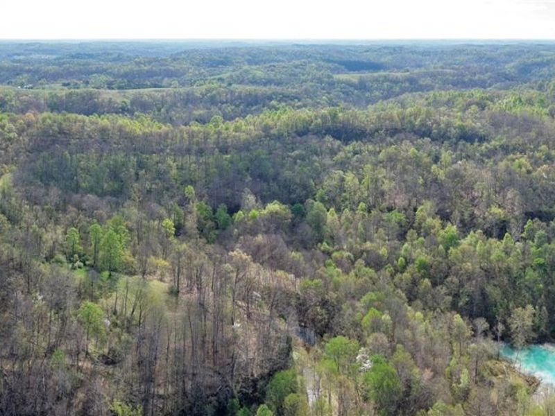 0 Harrons Ridge Road , Dexter City, OH 45727 Photo 6