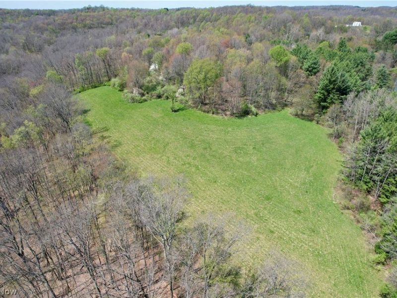 4101 Peace Road SE, Carrollton, OH 44615 Photo 32