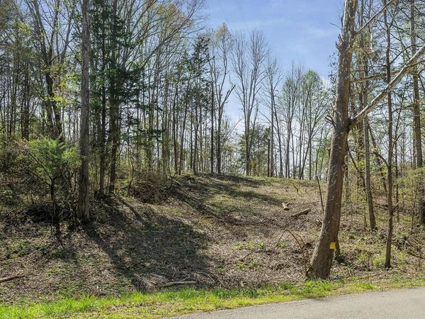 00 Big Springs Farm - Tracts 19&20 18.46 Acres, Monroe, TN 38573