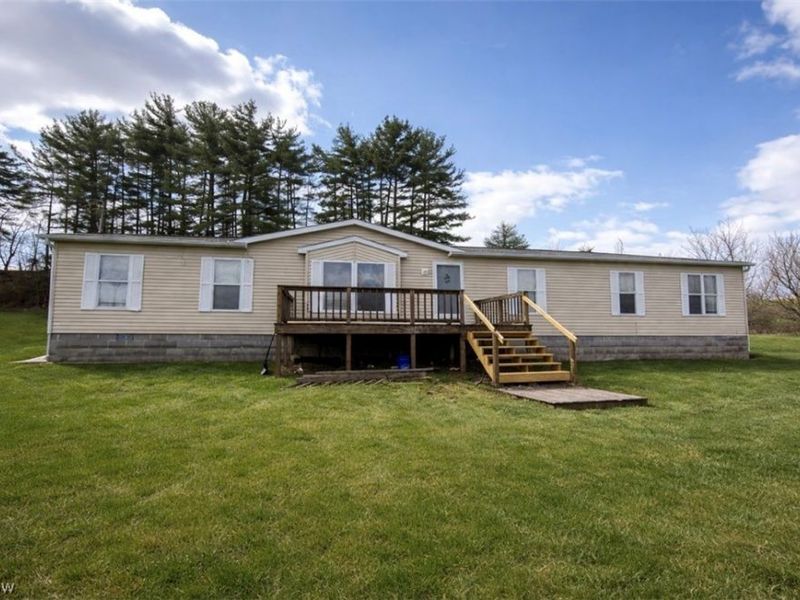 47813 Old Hopedale Road, Cadiz, OH 43907 Photo 1