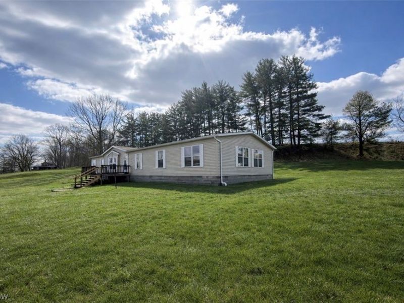 47813 Old Hopedale Road, Cadiz, OH 43907 Photo 2